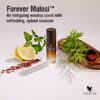 عطر مالوسی فوراور Forever Malosi